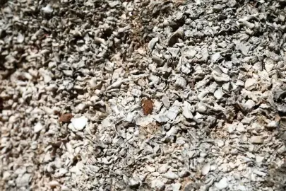 ANTALYA’DA MORUN 1500 YILLIK SIRRI ORTAYA ÇIKTI