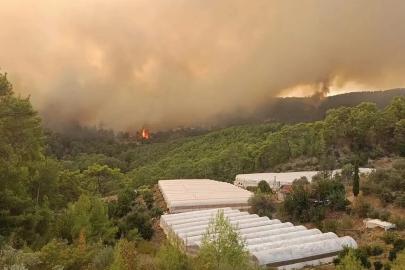 ANTALYA’DA YANGIN RİSKİNE KARŞI YENİ PLAN