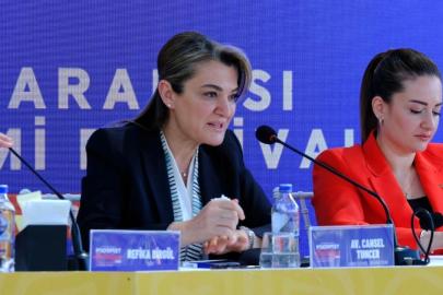 ANSET DOSYASINDA 145 TAŞINMAZ DETAYI