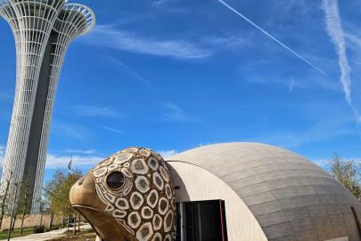 COP31’DE ANTALYA’NIN SİMGESİ CARETTA CARETTA OLACAK