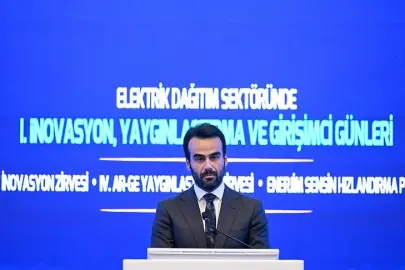 ELEKTRİK ŞEBEKESİNE 50 MİLYAR DOLAR GEREKİYOR