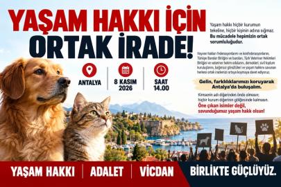 YAŞAM HAKKI İÇİN ANTALYA’DA ORTAK ÇAĞRI!