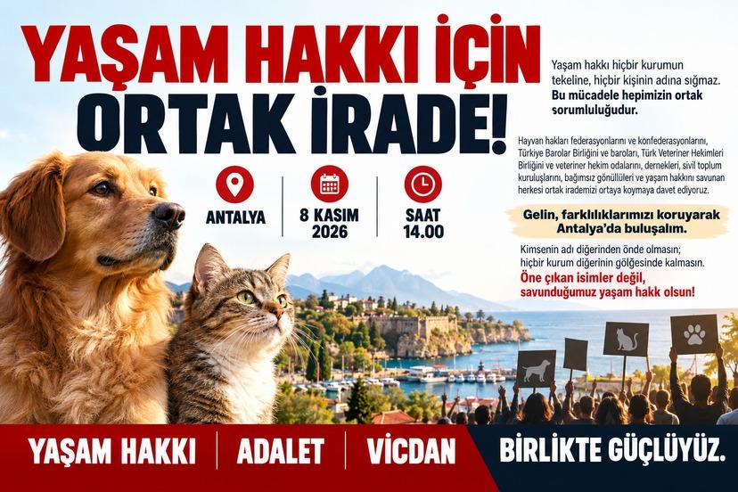 YAŞAM HAKKI İÇİN ANTALYA’DA ORTAK ÇAĞRI!